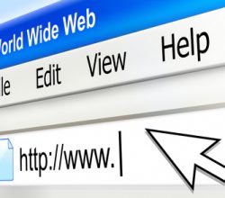 Internet Search Computer Screen