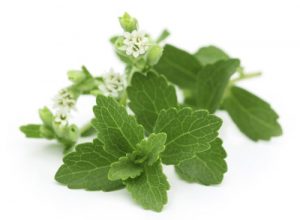 Stevia