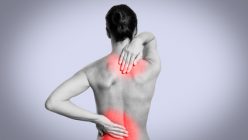 Schmerzzonen am Rücken